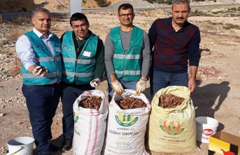 Adliye Çalışanları Dik Yamaçlara Tohum Serpti