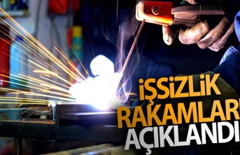 İşsizlik Rakamları Açıklandı