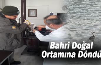 Bahri Doğal Ortamına Döndü