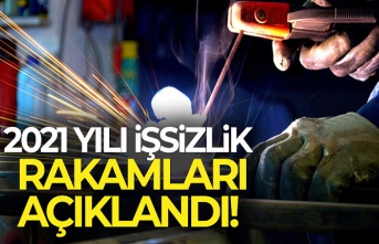 İşsizlik Oranı 2021 Yılında Yüzde 12 Oldu