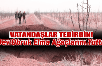 Karaman’da Dev Obruk Elma Ağaçlarını Yuttu