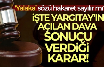 Yargıtay: ‘Yalaka' Sözü Hakaret Sayılmaz