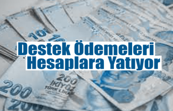 Destek Ödemeleri Hesaplara Yatıyor