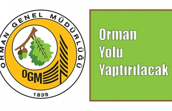 Orman Yolu Yaptırılacak