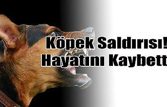 Karaman’da Köpeğin Saldırdığı Kadın Öldü