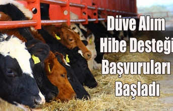 Düve Alım Hibe Desteği Başvuruları Başladı