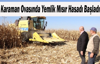 Karaman Ovasında Yemlik Mısır Hasadı Başladı