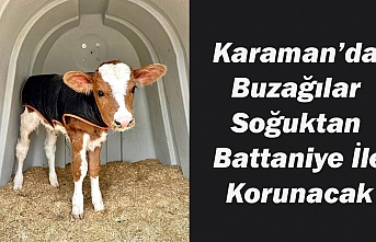 Karaman’da Buzağılar Soğuktan Battaniye İle...