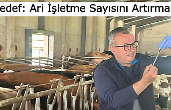 Hedef: Ari İşletme Sayısını Artırmak