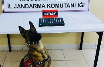 Jandarma Geçit Vermiyor