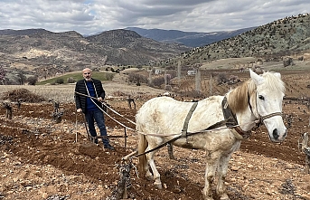 Karaman'da Geleneksel Tarım