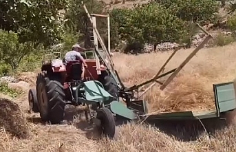 Bayır Köyü'nde Hububat Hasadı Başladı