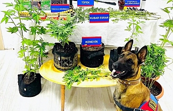 Narkotik Köpeği Erek Neler Yakaladı Neler   