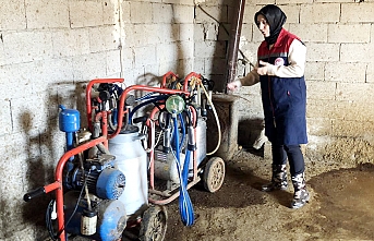 Süt Üreticilerine Hijyen ve Kalite Eğitimi   