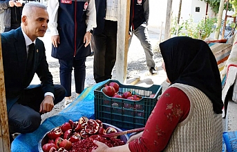 Karaman Valisi Çiçekli'den Köylere Çıkarma