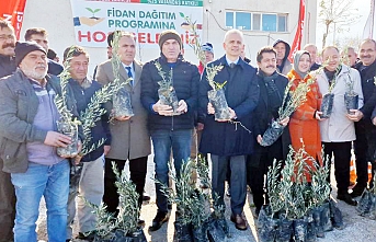 Üreticilere 45 Bin Fidan Dağıtıldı